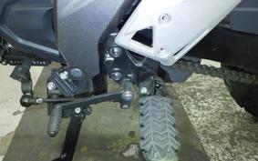 SUZUKI Vｽﾄﾛｰﾑ250SX 2012 EL11L