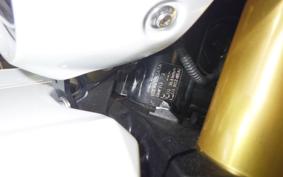 BMW R12G/S 2025