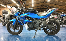 KAWASAKI Z250 SL BR250E