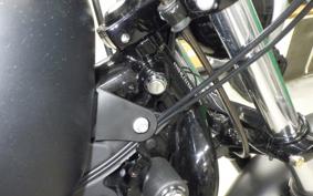 HARLEY XL883N 2016