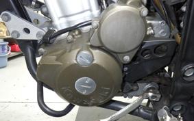 KAWASAKI KLX250