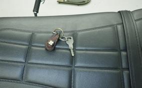 KAWASAKI Z900 2026 Z1F