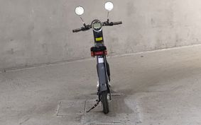 OTHER  BLAZE  SMART EV ..