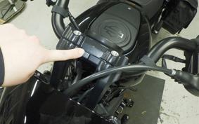 HARLEY RH975S 2024