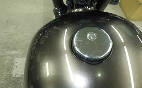 KAWASAKI W800 CAFE 2020 EJ800B