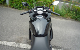 SUZUKI GSX250R DN11A