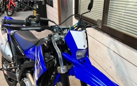 YAMAHA WR250X DG15J
