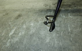 KAWASAKI W800 CAFE 2020 EJ800B