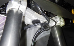 KAWASAKI NINJA1100SX 2025