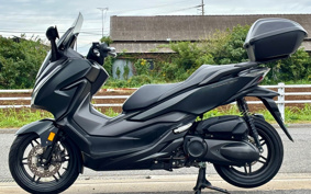 HONDA  FORZA 250 MF13