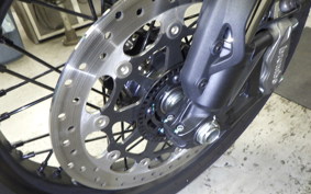 DUCATI SCRAMBLER 2024
