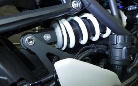 KAWASAKI Z900RS CAFE 2025 ZR900K