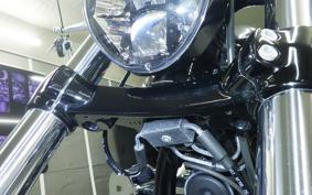 HARLEY FXBR1920 2024