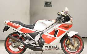 YAMAHA TZR250 1KT