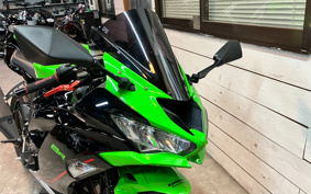 KAWASAKI NINJA ZX-6R 2022 ZX636G