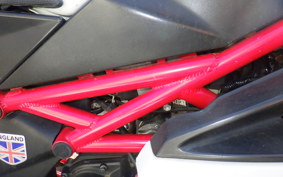 OTHER メガリ 250R