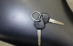 YAMAHA YZF-R25 A 2024 RG43J