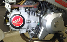 HONDA MONKEY R 2023 AB22