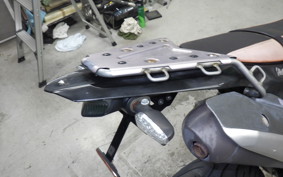 YAMAHA WR250X 2021 DG15J