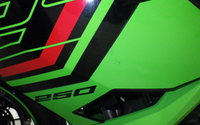 KAWASAKI NINJA 250 2 2007 EX250Y