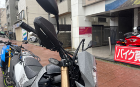 HONDA CRF250L MD47
