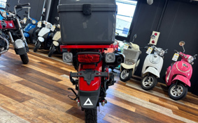 HONDA CT125 HUNTER CUB JA55