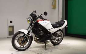YAMAHA RZ250R