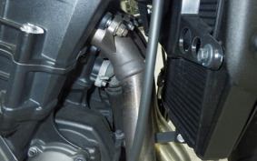 TRIUMPH STREET TRIPLE RS 2020