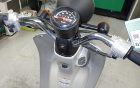 HONDA TODAY 2024 AF61