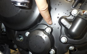 HONDA REBEL 250 S 2021 MC49