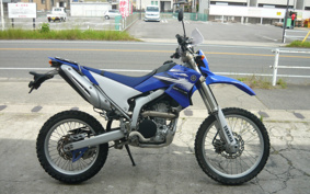 YAMAHA WR250R DG15J