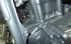 HONDA CRF250L MD47