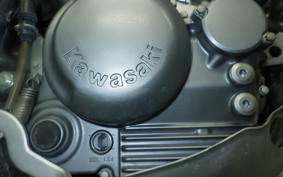 KAWASAKI SUPER SHERPA 2026 KL250G