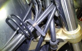 YAMAHA VIRAGO 250 3DM