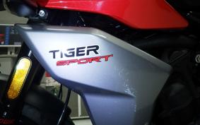 TRIUMPH TIGER 660 SPORTS 2023