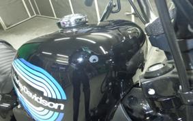 HARLEY XL1200NS 2019