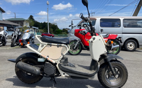HONDA ZUMAR AF58