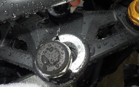 KAWASAKI ZX-4RR 2024 ZX400P