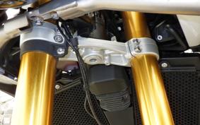 TRIUMPH TIGER 900 RALLY PRO 2025