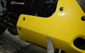 KAWASAKI GPZ900R NINJA 2000 ZX900A