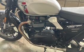 TRIUMPH SPEED TWIN 900 DP0G27