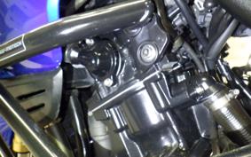 TRIUMPH TIGER 1050 2009