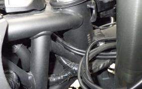 KAWASAKI NINJA H2 SX 2018 ZXT02A