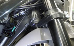 KAWASAKI KLX230SM 2024 LX232A