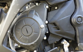 YAMAHA YZF-R3 2016 RH07J