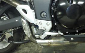 TRIUMPH TIGER 1050 2009