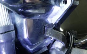 HONDA HORNET 250 MC31