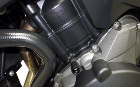 TRIUMPH STREET TRIPLE RS 2019