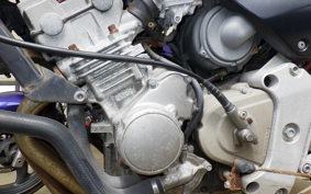 HONDA HORNET 250 MC31