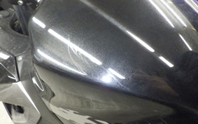 KAWASAKI NINJA 250 EX250P